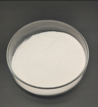 Polyanionic Cellulose (Regular Grade)